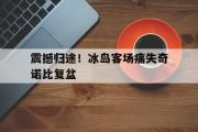 华体会国米赞助商-震撼归途！冰岛客场痛失奇诺比复盆
